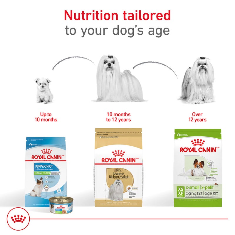 Royal Canin Breed Health Nutrition Maltese Adult Dry Dog Food, 10 lb Bag - Image 5